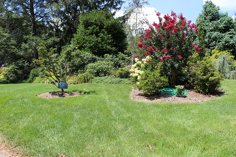 Eagleville, PA Landscaping Contractors
